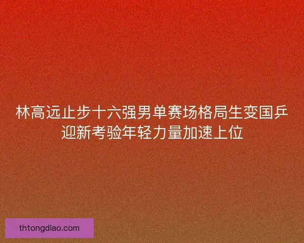 林高远止步十六强男单赛场格局生变国乒迎新考验年轻力量加速上位